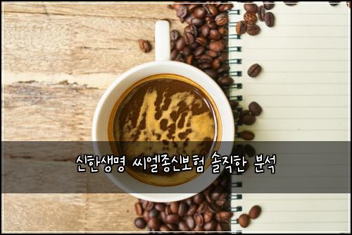 신한생명 씨엘종신보험 솔직한 분석