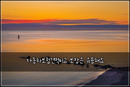 자동차보험견적비교 보장은 유용해요