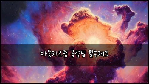 자동차보험 공략팁  필수체크