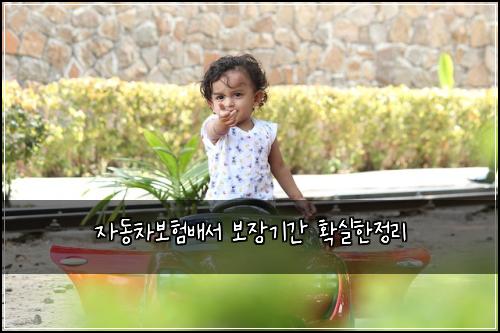 자동차보험배서 보장기간 확실한정리