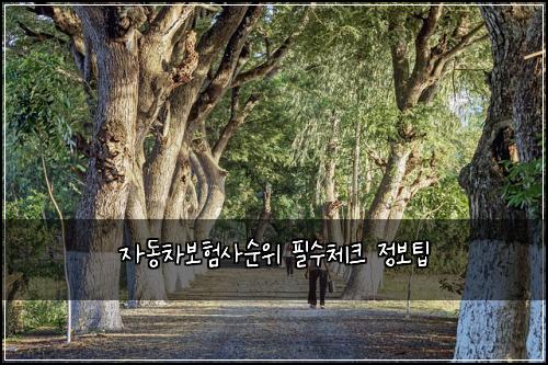์๋์ฐจ๋ณดํ์ฌ์์ ํ์์ฒดํฌ ์ ๋ณดํ