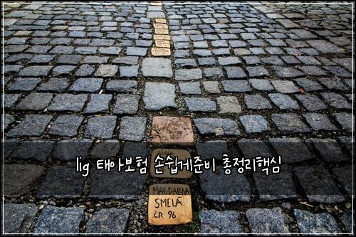 lig 태아보험 손쉽게준비  총정리핵심