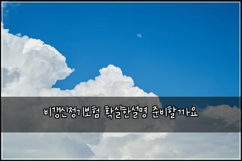 비갱신정기보험 확실한설명  준비할까요