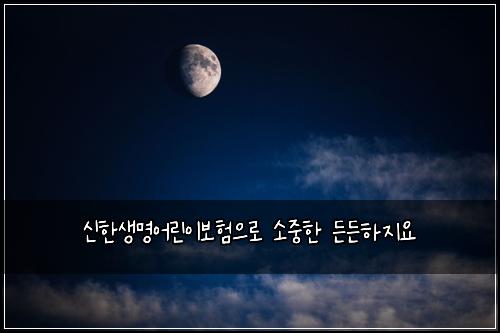 신한생명어린이보험으로 소중한 든든하지요