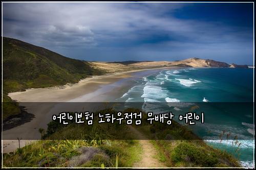 어린이보험 노하우점검  무배당 어린이