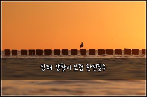 상해 생활비 보험 완전필수 