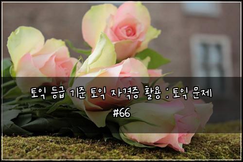토익 등급 기준 토익 자격증 활용 : 토익 문제 #66