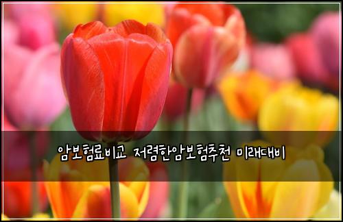 암보험료비교 저렴한암보험추천 미래대비