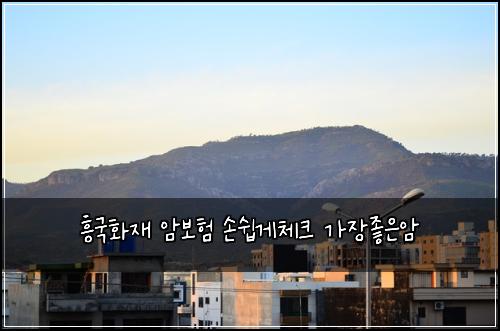 흥국화재 암보험 손쉽게체크  가장좋은암
