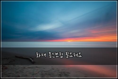 ํ์ฌ ์ข
์ ๋ณดํ ํ์ํด์