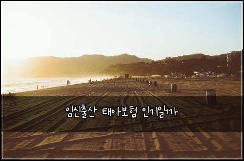 임신출산 태아보험 인기일까 