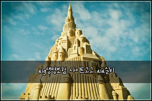 aig생명보험 사이트고고  aia실비