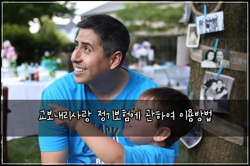 교보내리사랑 정기보험에 관하여 이용방법
