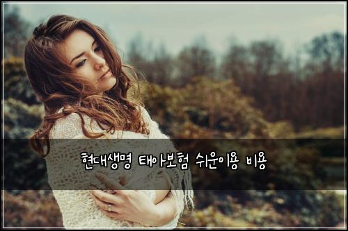 현대생명 태아보험 쉬운이용  비용