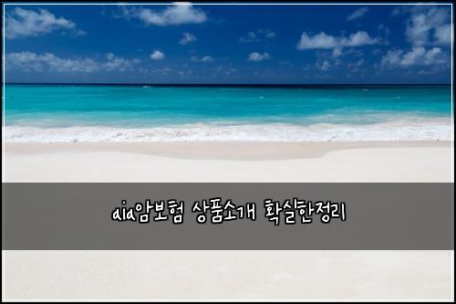 aia암보험 상품소개  확실한정리