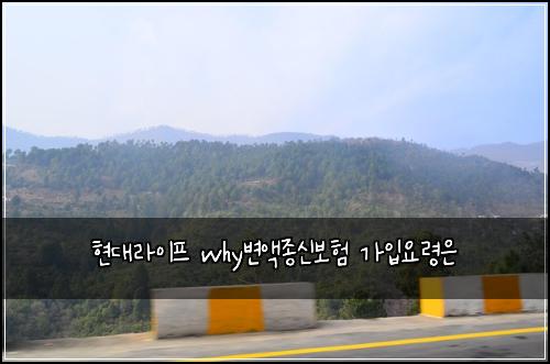 현대라이프 why변액종신보험 가입요령은 