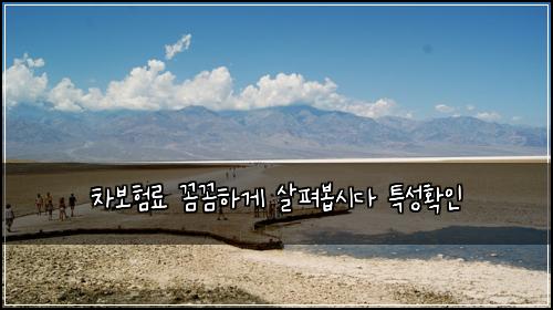 차보험료 꼼꼼하게 살펴봅시다 특성확인