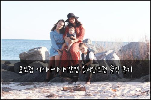 효보험 에이아이에이생명 실버암보험 솔직 후기