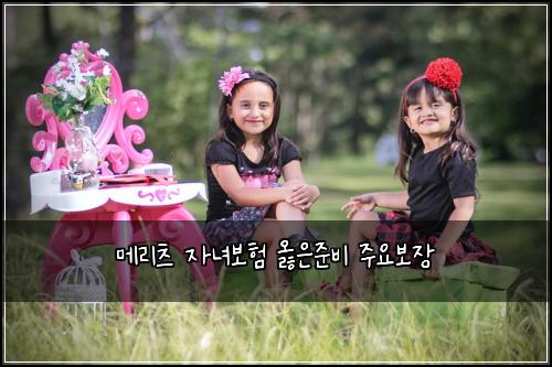 메리츠 자녀보험 옳은준비  주요보장