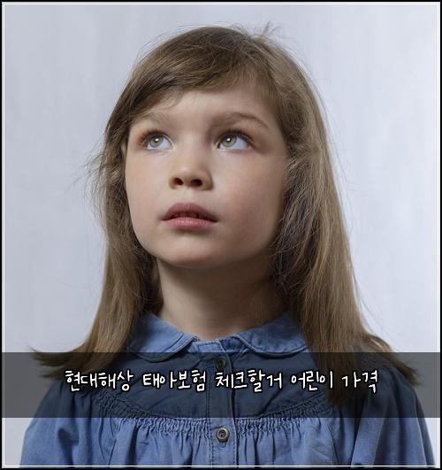 현대해상 태아보험 체크할거  어린이 가격