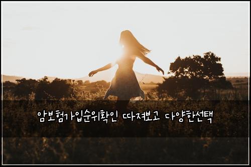 암보험가입순위확인 따져보고 다양한선택