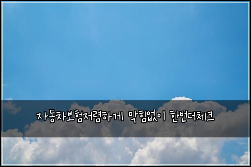 자동차보험저렴하게 막힘없이 한번더체크