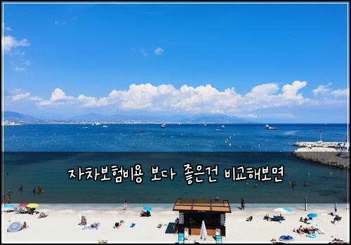 자차보험비용 보다 좋은건 비교해보면