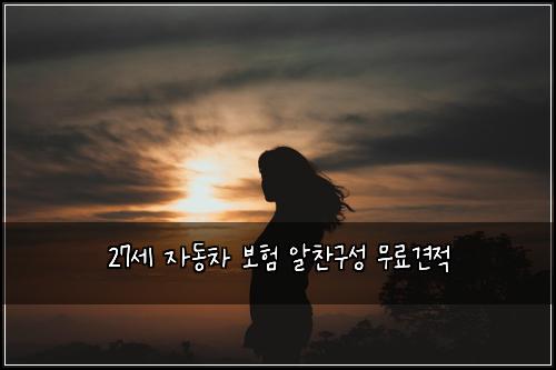 27세 자동차 보험 알찬구성  무료견적