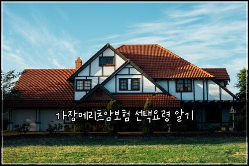 가장메리츠암보험 선택요령  알기