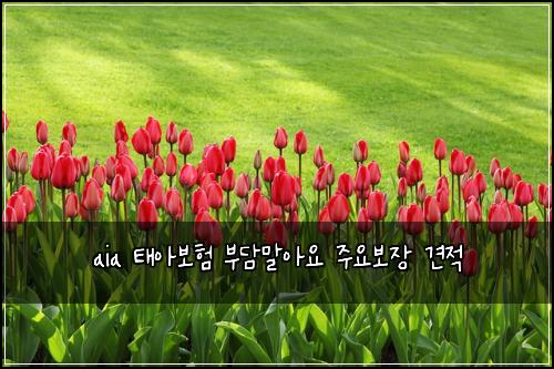 aia 태아보험 부담말아요  주요보장 견적