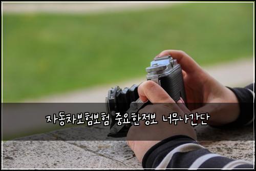 자동차보험보험 중요한정보 너무나간단