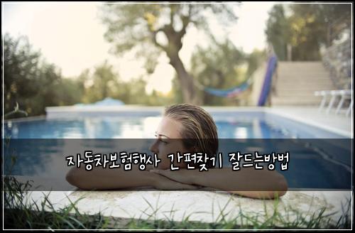 자동차보험행사 간편찾기 잘드는방법