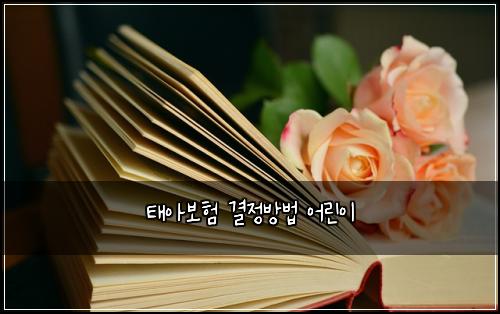 태아보험 결정방법  어린이