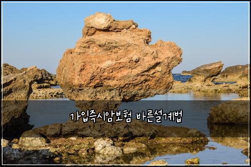 가입즉시암보험 바른설계법 