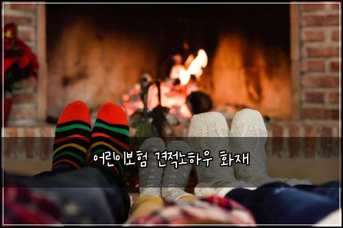 어린이보험 견적노하우  화재