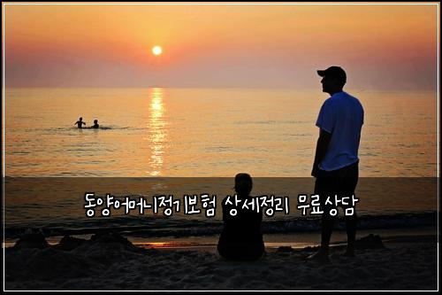 동양어머니정기보험 상세정리  무료상담