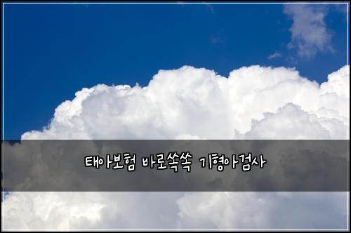 태아보험 바로쏙쏙  기형아검사