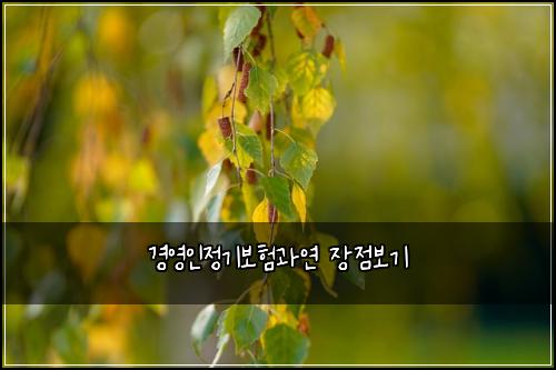 경영인정기보험과연 장점보기