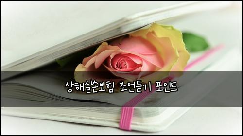 상해실손보험 조언듣기  포인트