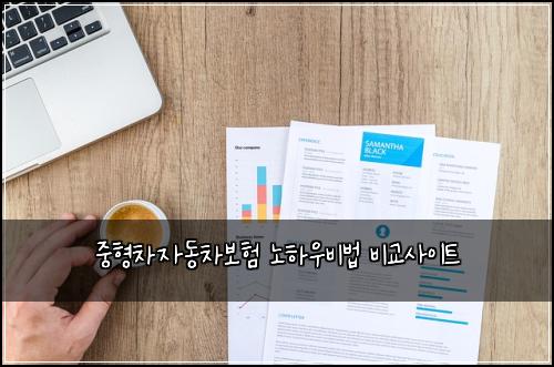 중형차자동차보험 노하우비법  비교사이트