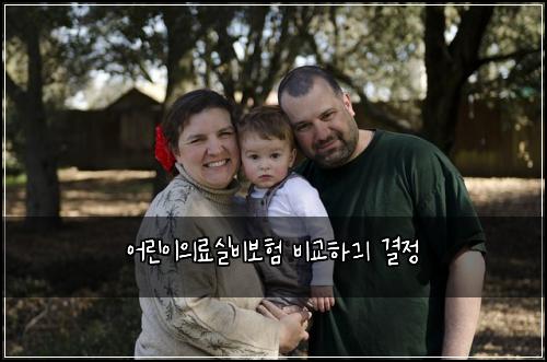 어린이의료실비보험 비교하긔  결정