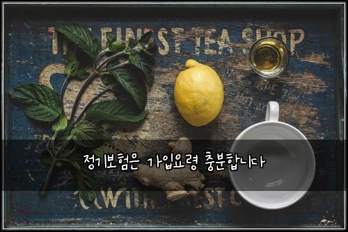 정기보험은 가입요령 충분합니다