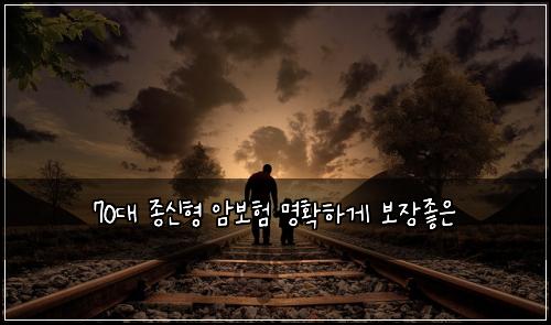 70대 종신형 암보험 명확하게  보장좋은
