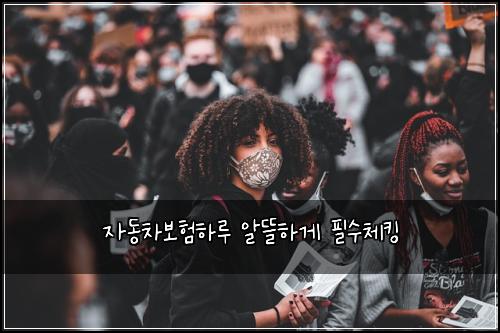 자동차보험하루 알뜰하게 필수체킹
