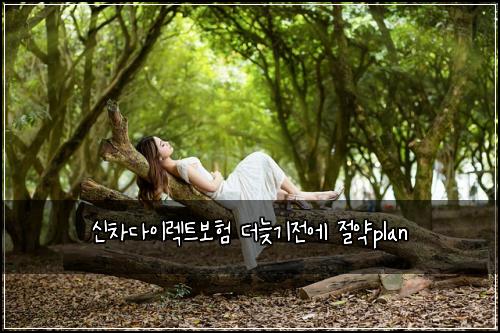 ์ ์ฐจ๋ค์ด๋ ํธ๋ณดํ ๋๋ฆ๊ธฐ์ ์ ์ ์ฝplan