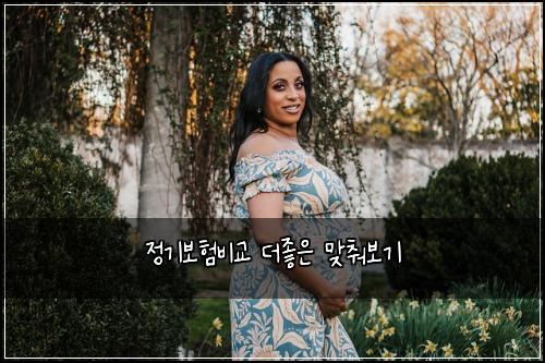 정기보험비교 더좋은 맞춰보기