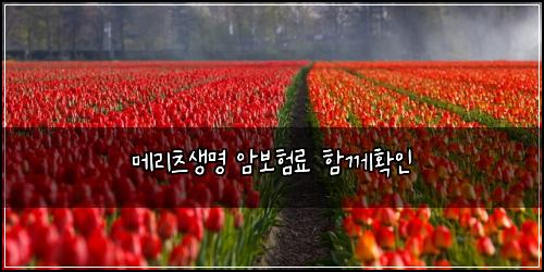 메리츠생명 암보험료 함께확인