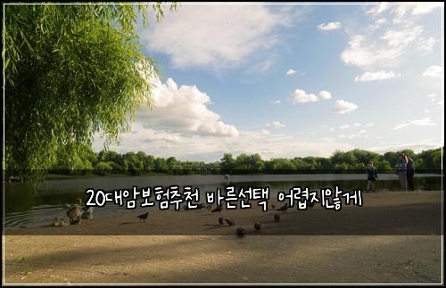 20λμ보νμΆμ² λ°λ₯Έμ ν μ΄λ ΅μ§μκ²