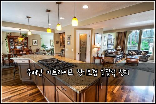 무배당 메트라이프 정기보험 실질적 정리