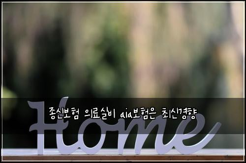 종신보험 의료실비 aia보험은 최신경향